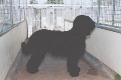 Champers243.jpg (15664 Byte)