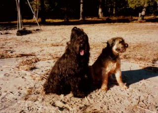 Chaos & Tilda