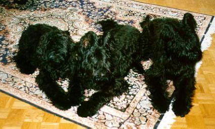 Esprit, Clochard, Xenia