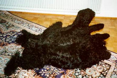 Esprit, Clochard, Xenia