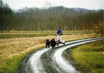 Robert & Hollywood, Ouge, Yazoo
