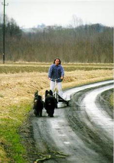 Robert & Hollywood, Ouge, Yazoo