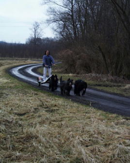 Robert & Hollywood, Ouge, Yazoo