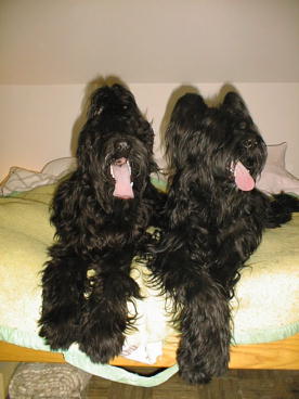 Chaos & Yazoo