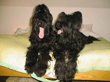 Chaos & Yazoo
