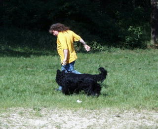 Falko & Yazoo