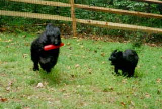 Titch & Cou