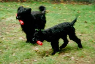 Titch & Cou