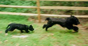 Cou & Titch