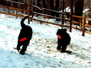 Cou & Titch