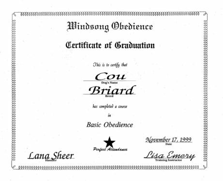Graduation Certificate