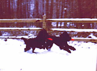 Titch & Cou