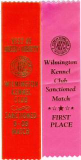 Ribbons 2. Apr. 2000