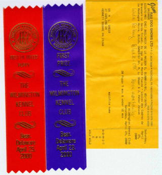 Ribbons 29. Apr. 2000