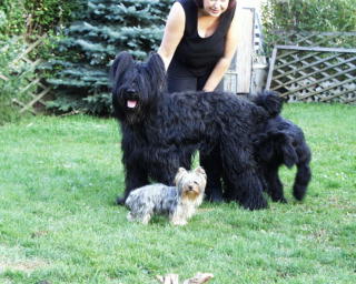 Gizmo, Samson, Whoopy